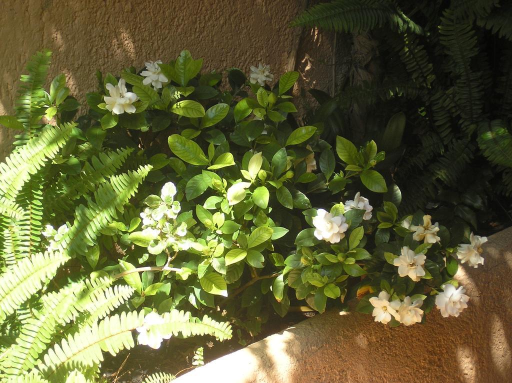 Altea Hills Villa Casablanca 23 エクステリア 写真